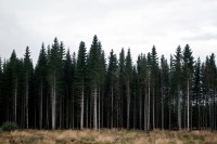 http://www.sercangundogar.com/files/dimgs/thumb_0x200_2_7_231.jpg