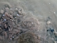 http://www.sercangundogar.com/files/gimgs/th-20_ps2IMG_9536.jpg