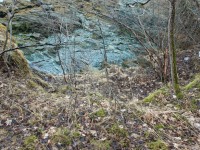 http://www.sercangundogar.com/files/gimgs/th-20_ps2IMG_9817.jpg