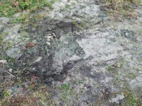 http://www.sercangundogar.com/files/gimgs/th-20_psIMG_4509.jpg