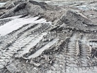 http://www.sercangundogar.com/files/gimgs/th-20_soil21.jpg