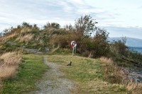 http://www.sercangundogar.com/files/gimgs/th-25_5.jpg