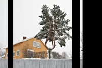 http://www.sercangundogar.com/files/gimgs/th-29_ps2IMG_7138.jpg